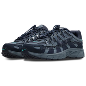P6000 Blue